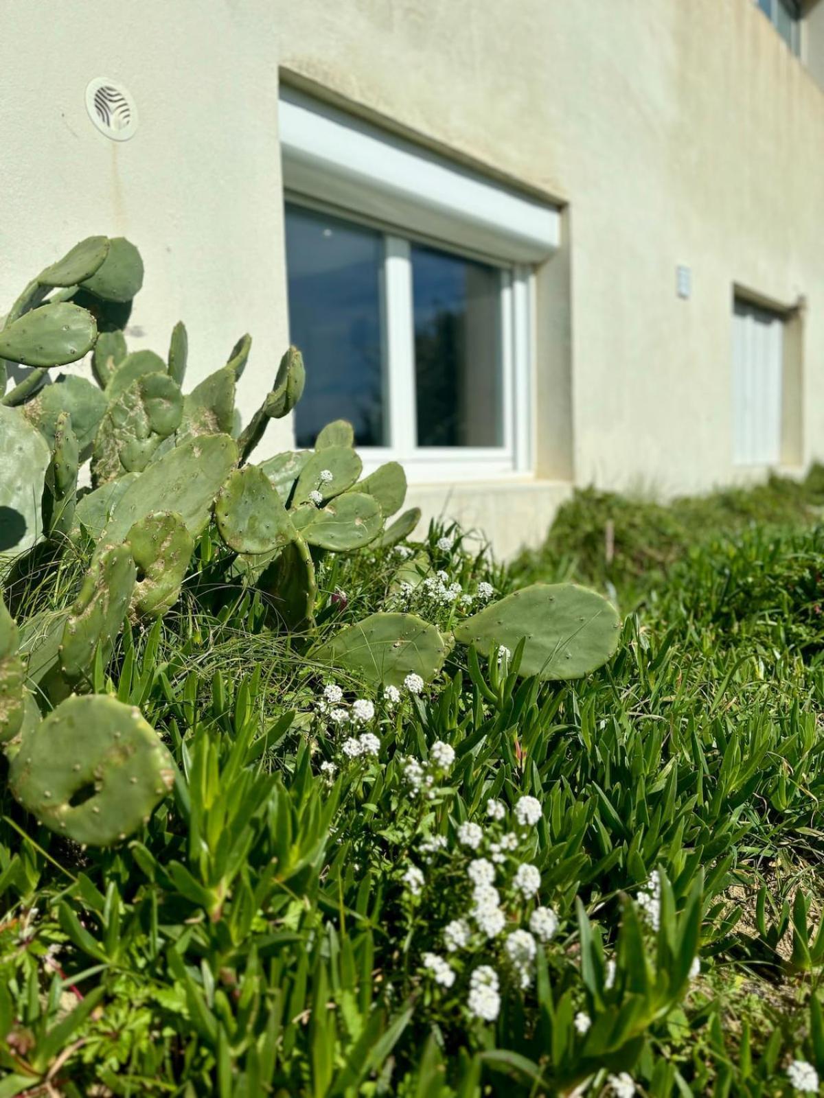 La Graviere, Cozy Studio Wifi & Parking 20M Ocean Surf Plage Soorts-Hossegor Extérieur photo